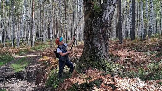 Поход по красивому осеннему лесу на заповедное озеро Малый Кисегач