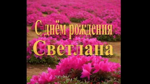 С днём рождения Светлана