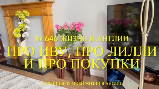 Video herunterladen: Про Иву, про Лилли и про покупки (обзор товара) . А ещё про еду. № 646 Жизнь в Англии