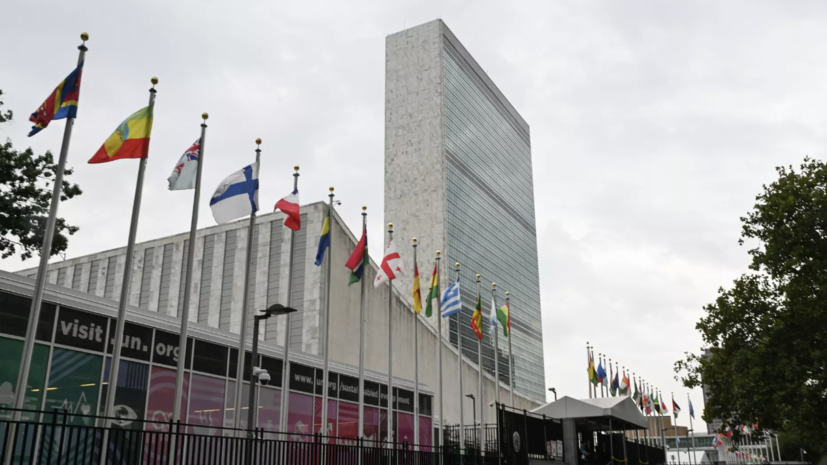    РИА Новости / Сергей Гунеев