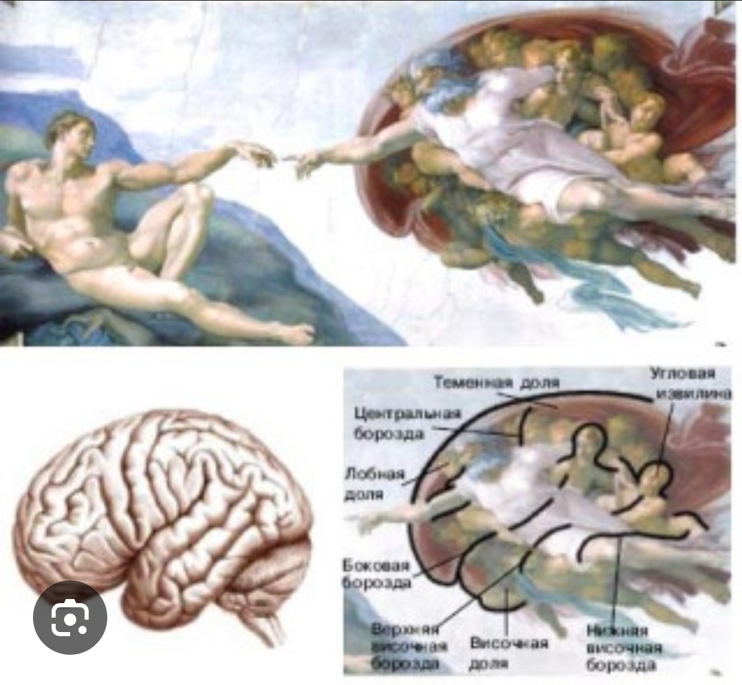 Как вы сами себя загипнотизировали?

Весь мир это ваше собственное отражение. Есть такая поговорка: не пиняй на зеркало коль рожа кривая) и в этом лежит глубокий смысл. Когда вы смотрите на мир, то вы всегда видите себя. Например вы увидели красивого человека. Это вы наделили его красотой, по сути ты увидели красоту которая находится в тебе. Ты увидел себя. Глядя на внешний мир, ты всегда видишь только себя.  Все чувства которые ты испытываешь глядя на предметы, людей и всё вокруг, ты видишь и ощущаешь только свои реакции и ощущения. Есть главный принцип,  что внешнее это твоё внутреннее. Когда ты видишь вокруг себя  предметы и они создают определённое настроение, то это ты видишь себя. Когда ты видишь людей которые создают определённую эмоцию в тебе, это всегда ты видишь себя. И когда ты начинаешь всё это понимать то можно менять отношение в себе к тем или иным событиям, ситуациям, людям. Например ты видишь человека и он тебя раздражает, в самом человеке этого нечего нет, он не какой, скажем нейтральный и да скорее всего его кто-то любит и вызывает чувство любви. Но это любовь опять же не в нем а уже в другом человеке кто его любит. Так вот вернёмся к тебе, он тебя раздражает и это раздражение находится в тебе. Таким образом глядя на мир ты видишь себя. И ты можешь теперь замечать то что хотелось бы изменить. Например ты боишься пауков. Страх находится в тебе. Есть техники гипнотерапии где можно легко это исправить и больше не будет страха. И понимание этого открывает большие возможности в жизни. В быту, в отношениях, на работе, на улице, в бизнесе и этот список будет бесконечным). 