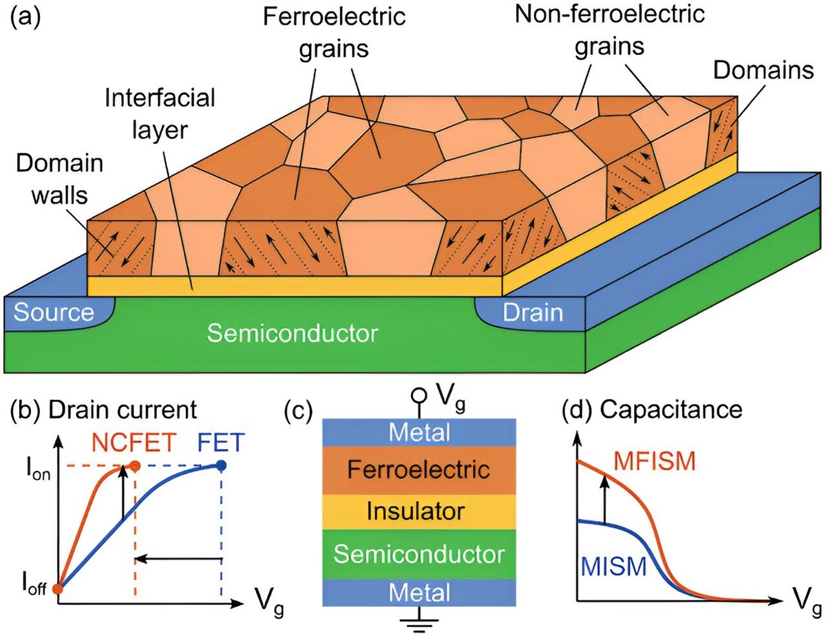    Advanced Electronic Materials