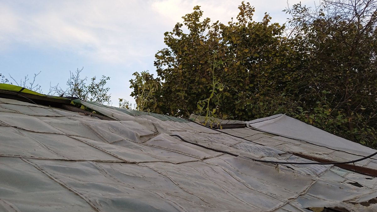 13 сентября 2024 года