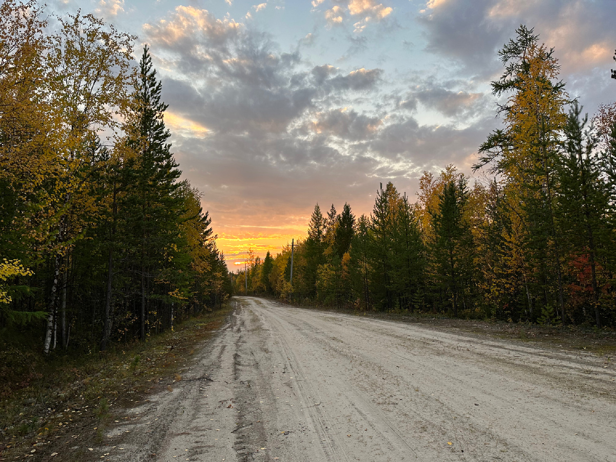 Бабье лето и золотая осень на Ямале. Дорога к озеру и в лес за богатствами.