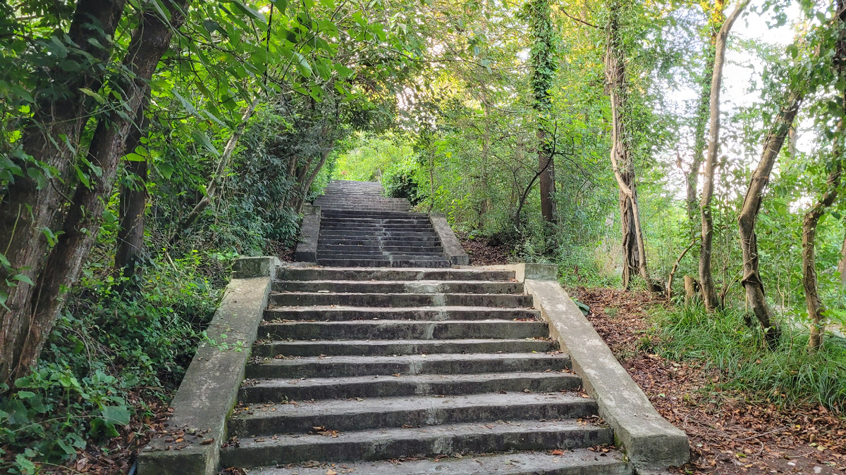 Ступени к морю