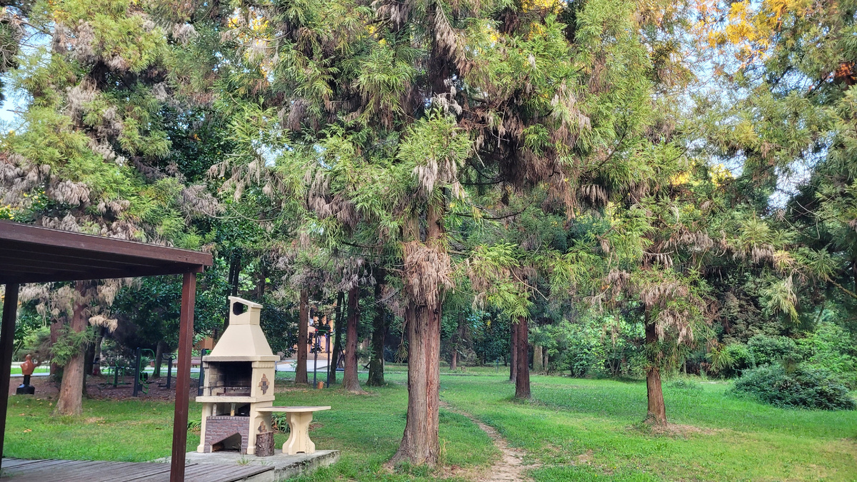 Пейзажи на территории