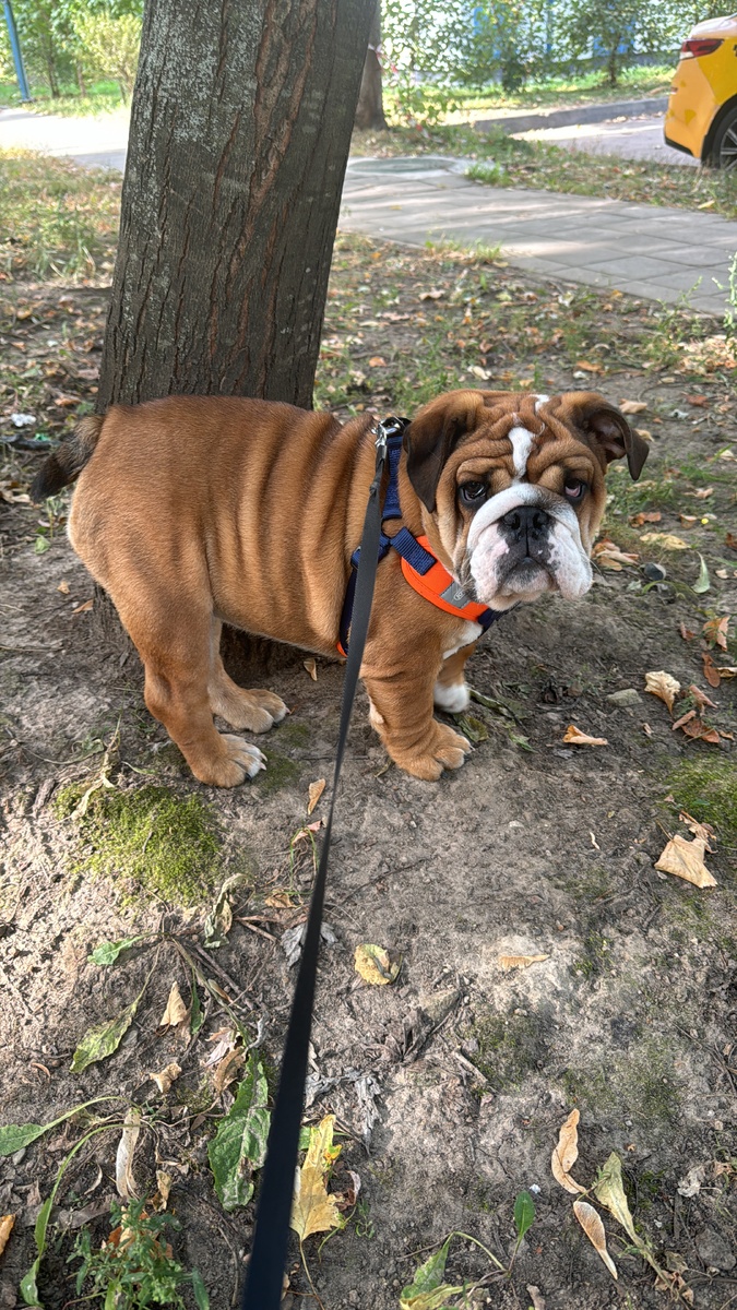 Кира которая не дает спать