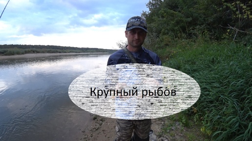 Приехали за жерехом и судаком, а клевали они ...