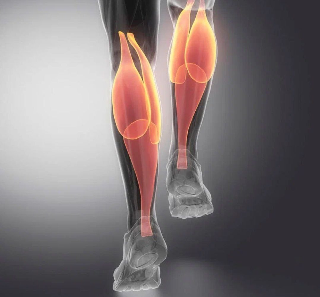 «ВТОРОЕ СЕРДЦЕ» нашего организма