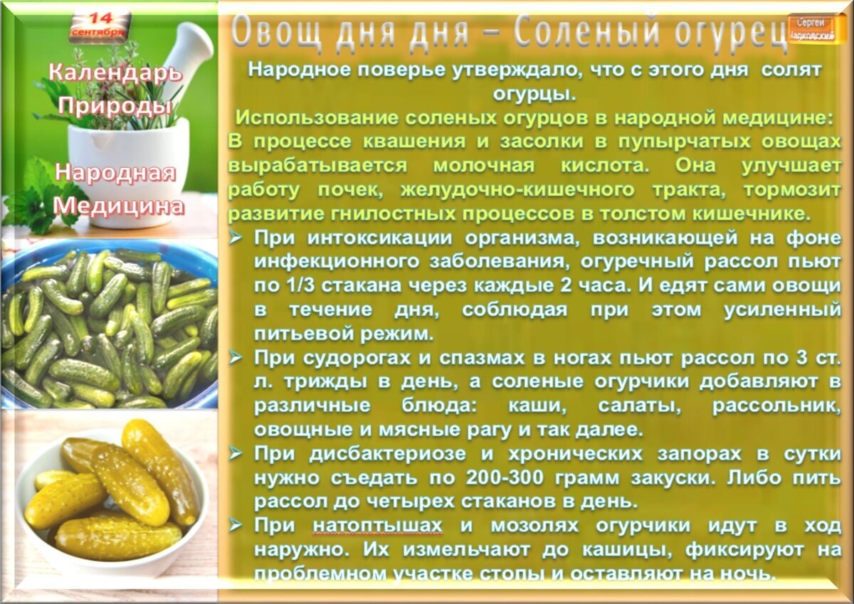 День пра. День пра. День пра. День пра. День пра.
