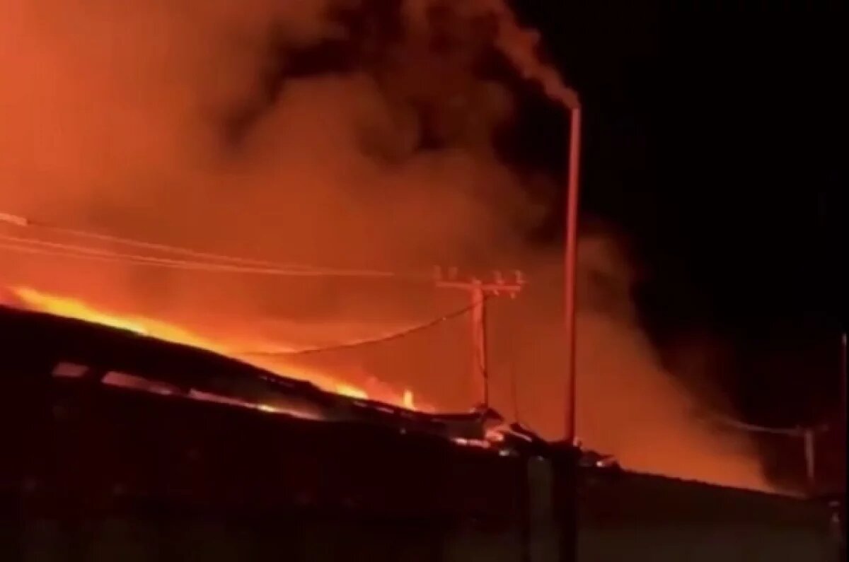    Рыбный завод загорелся после совещания по переработке рыбы в Дагестане