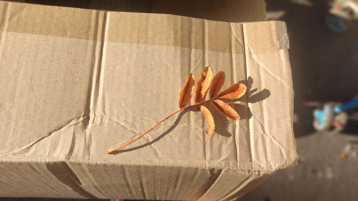 Осень передала привет) 