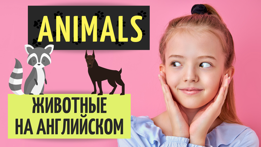 ЖИВОТНЫЕ НА АНГЛИЙСКОМ ЯЗЫКЕ. Animals