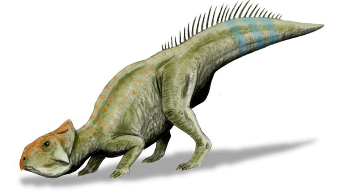 Реконструкция внешнего облика