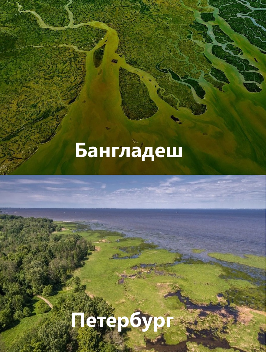 похоже же ведь, правда?)))