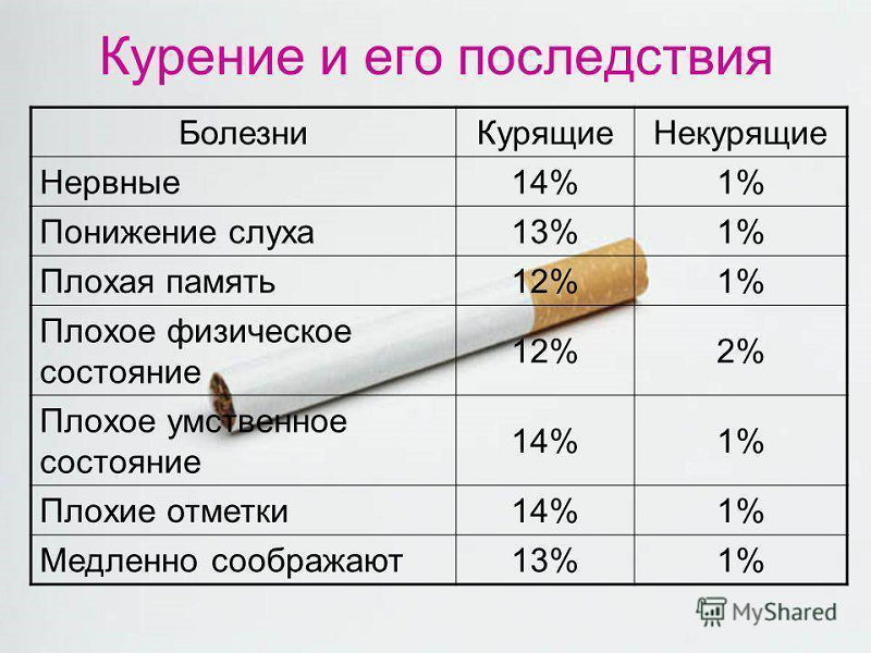 Фото: shk17-sar.gosuslugi.ru