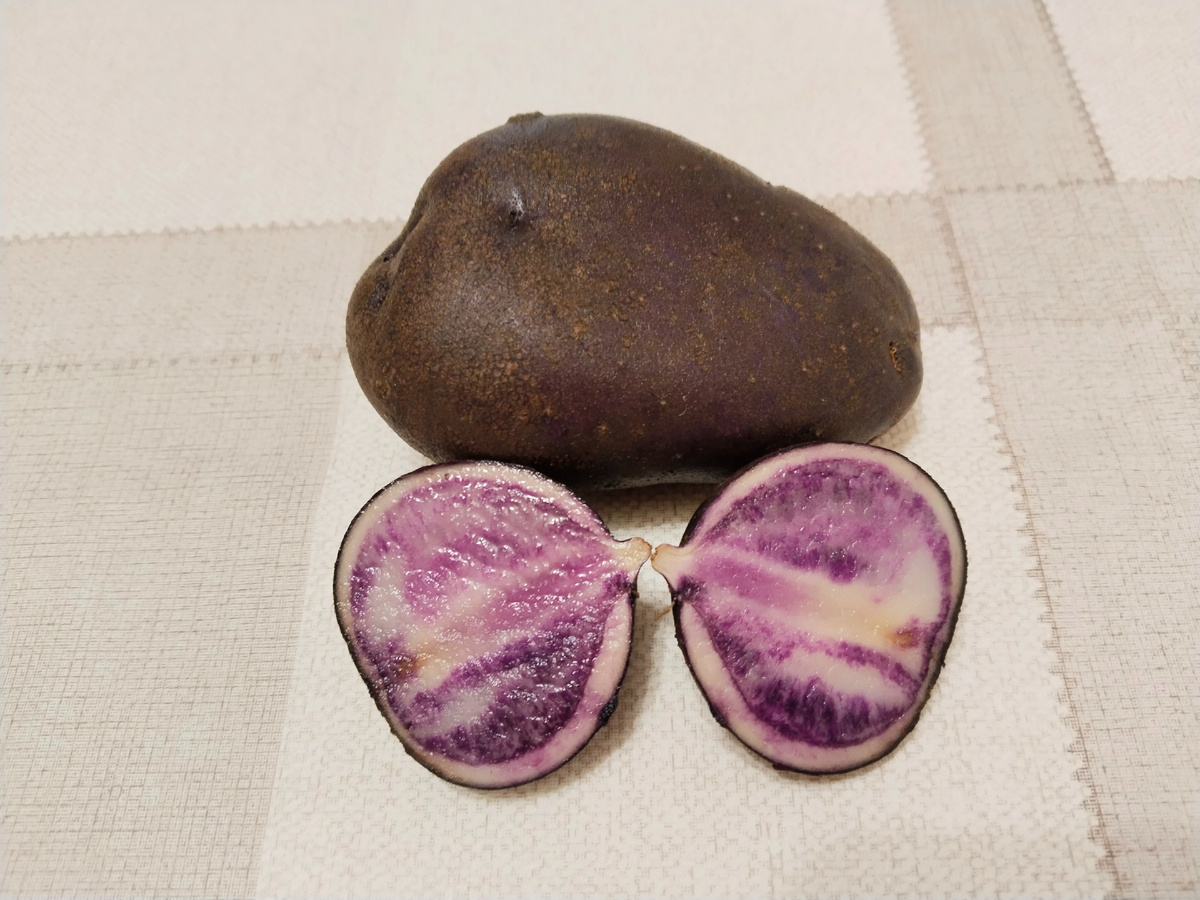 Картофель с С 488