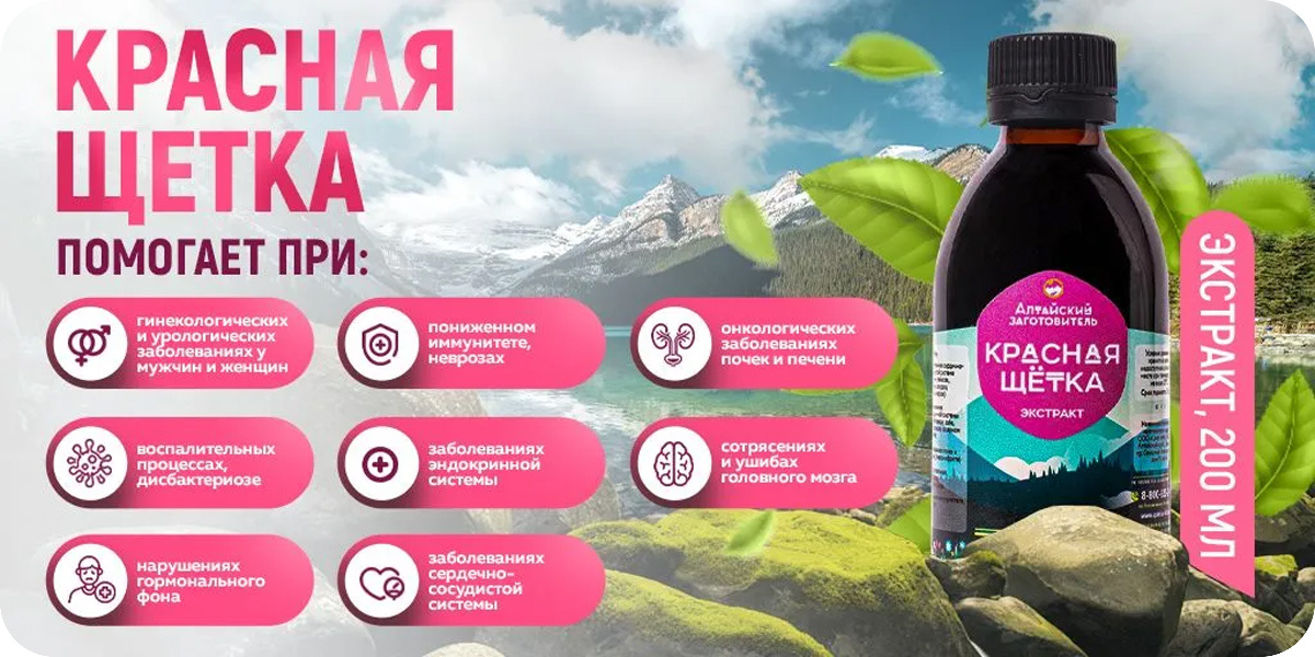 «Алтайский заготовитель» Красная щетка
