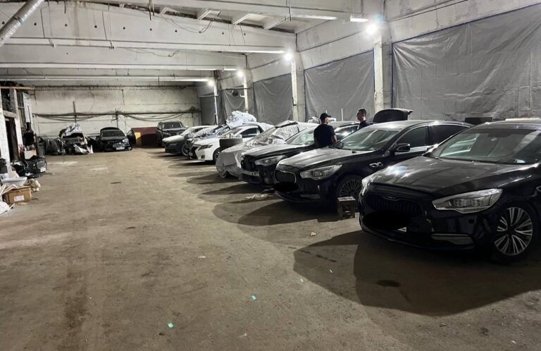    В Оренбурге задержали двух автоподставщиков Кристина Просвиркина