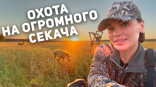 ДВА ДНЯ ОХОТЫ НА СКЛАДНОЙ ВЫШКЕ | В ПОИСКАХ КАБАНА 🐗