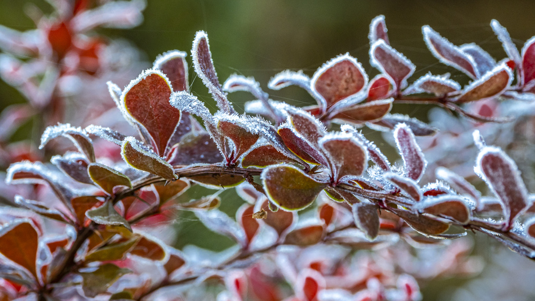    Фото: Konstantin Kokoshkin/Global Look Press