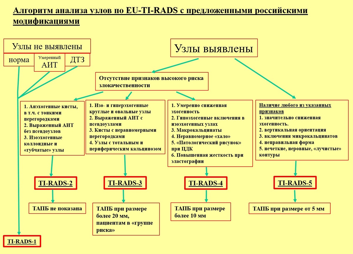 Рис. 02 - классификация TI-RADS