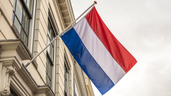    Нидерланды отказались от идеи передать Patriot Киеву Сергей Бунеев