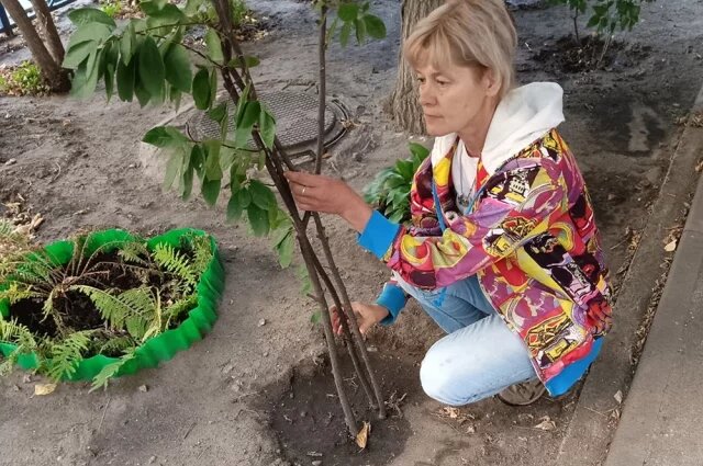    Что непременно нужно сделать волгоградцам в сентябре на дачах?