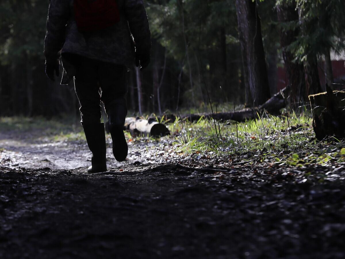    Человек идет по лесу© РИА Новости / Антон Денисов