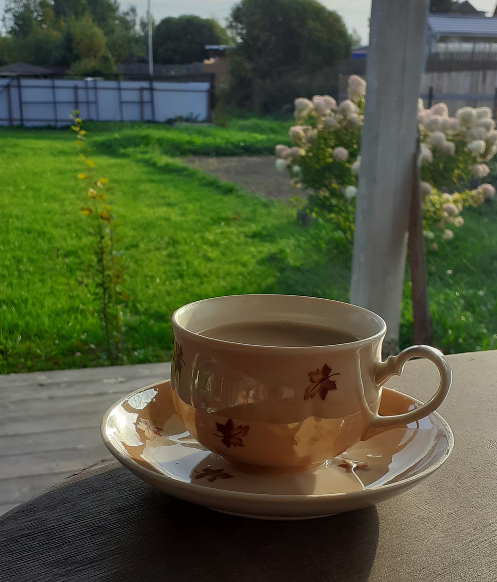 Фото автора.