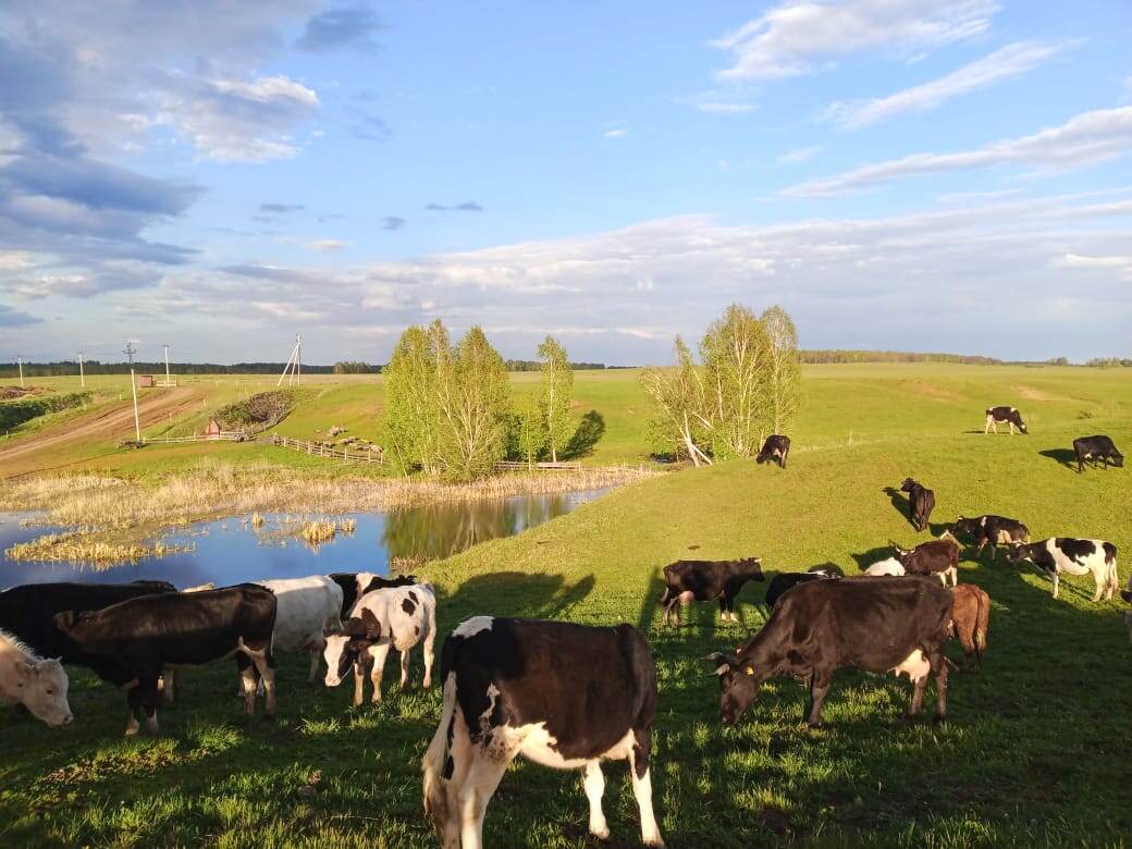 Фото из личного архива автора канала.