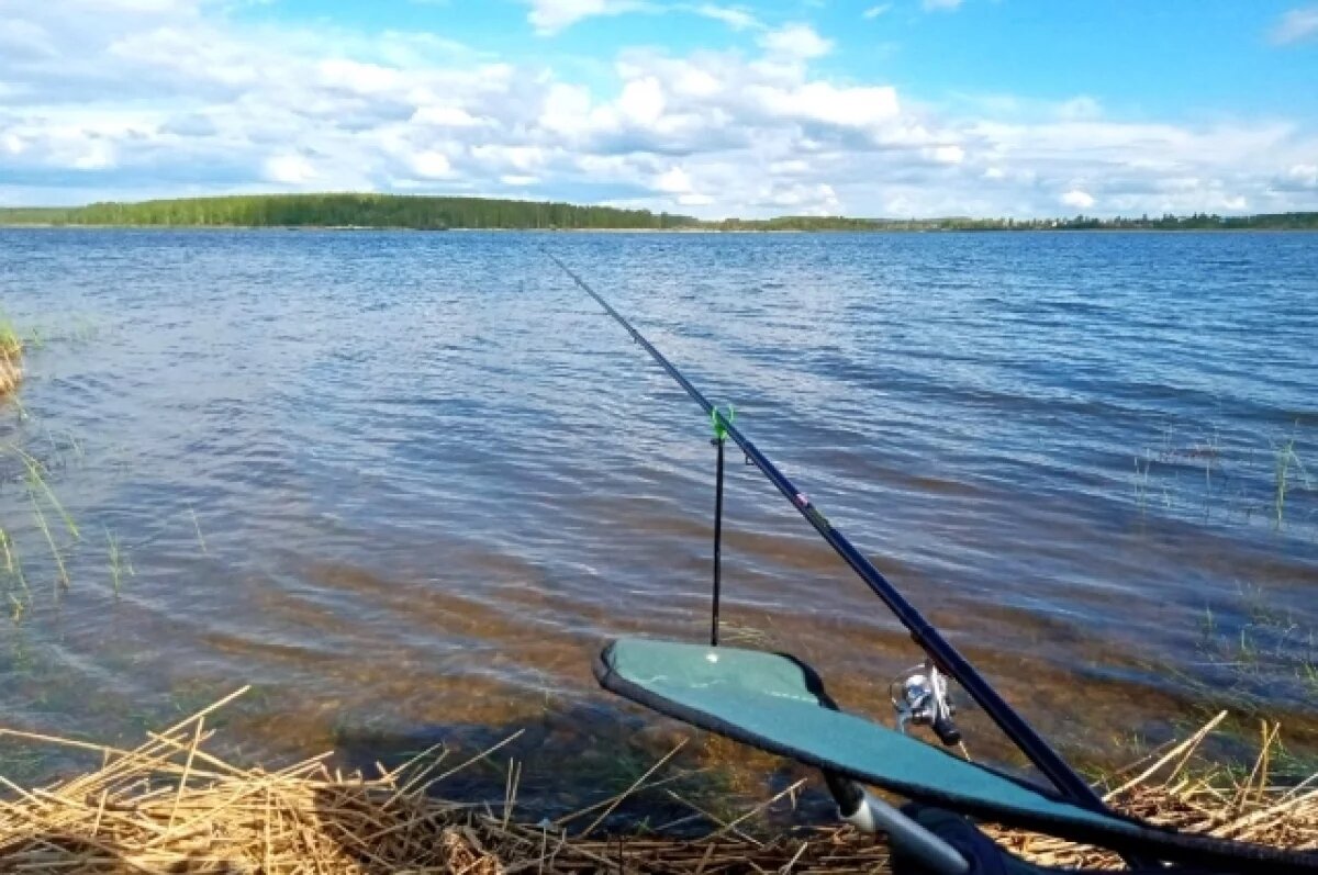    В лодке нарушителя нашли стерлядь и две щуки.