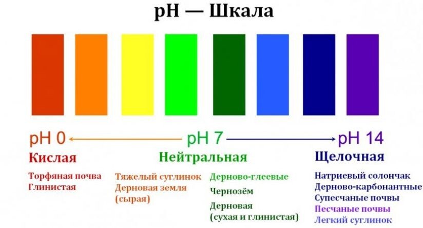 Кислотность и щелочность почв