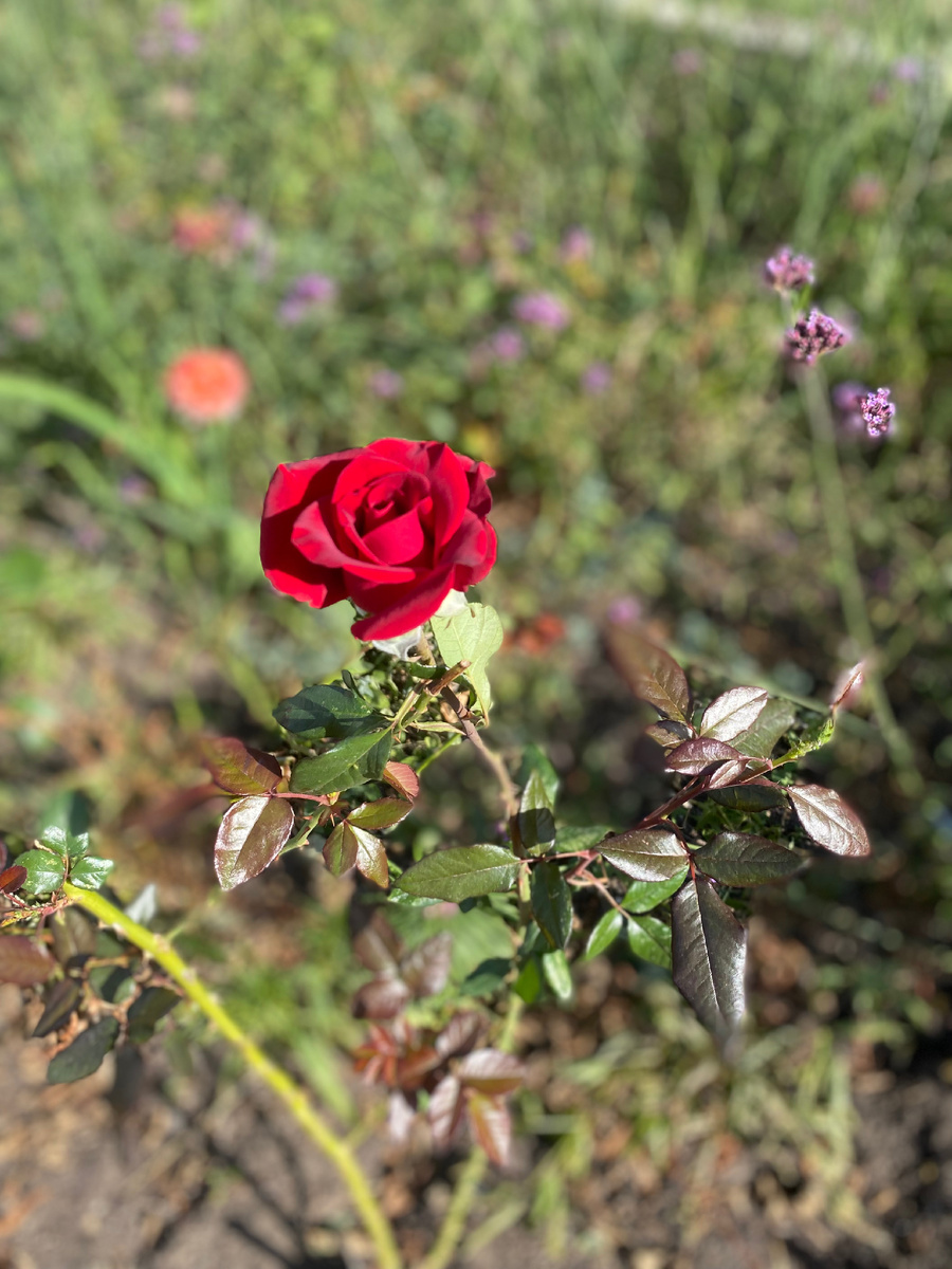 Спасибо всем, кто читает и вникает в содержание! 