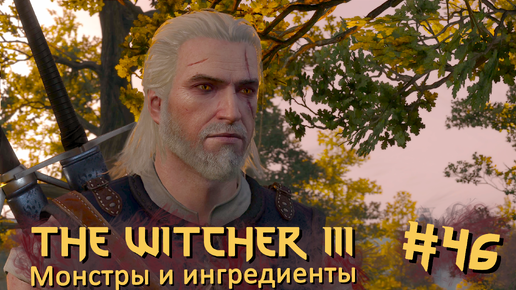 Монстры и ингредиенты | The Witcher 3 / Ведьмак 3 #046 [Прохождение] | Play GH