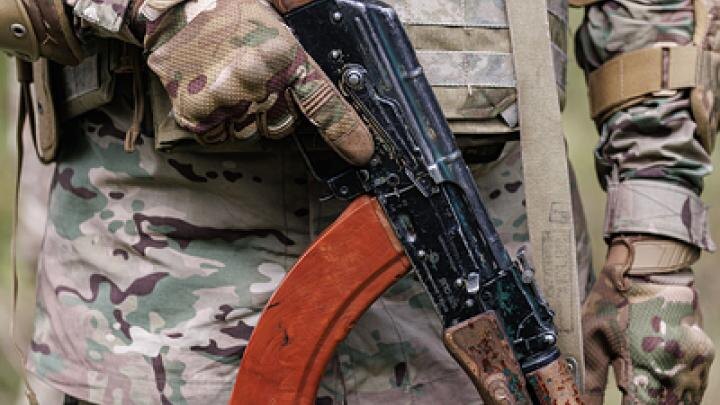 Фото: globallookpress.com/Sergey Elagin