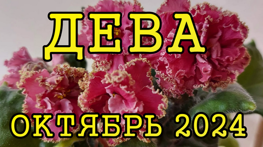 ДЕВА таро прогноз на ОКТЯБРЬ 2024 года.