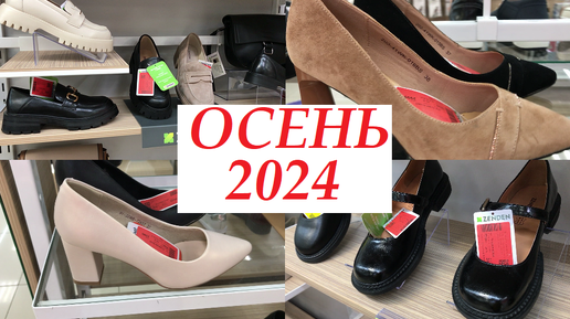 ZENDEN | Встречаем новую осеннюю коллекцию! СКИДКИ 50% Модная женская обувь осень 2024