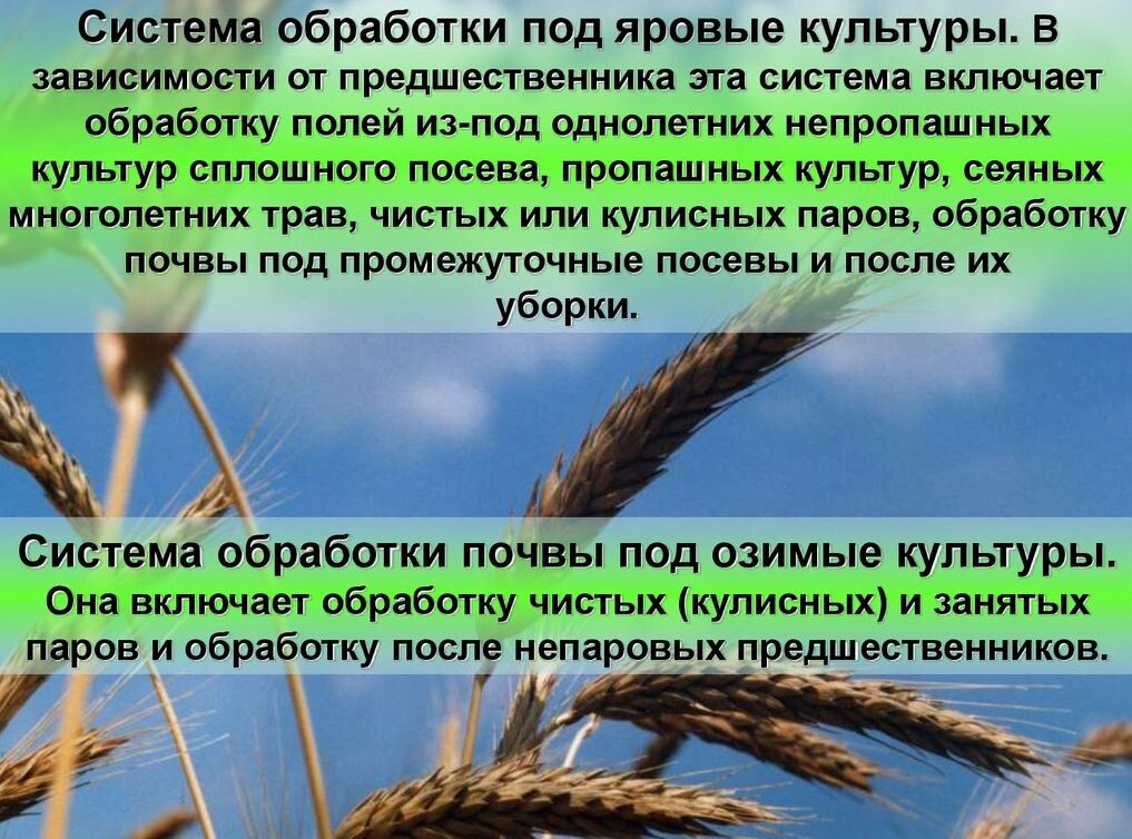 Система обработки под яровые культуры
