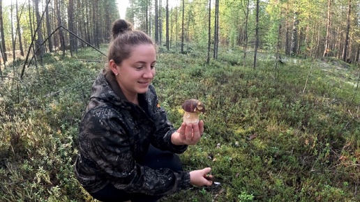 СЛУЧАЙНО ЗАШЛИ В ЛЕС И УВИДЕЛИ ЭТО. СЕМЕЙНЫЙ СБОР БЕЛЫХ ГРИБОВ. ЛЕС ДАРИТ ОСЕННИЕ ДАРЫ. БЕЛЫЙ ГРИБ КАК НАЙТИ