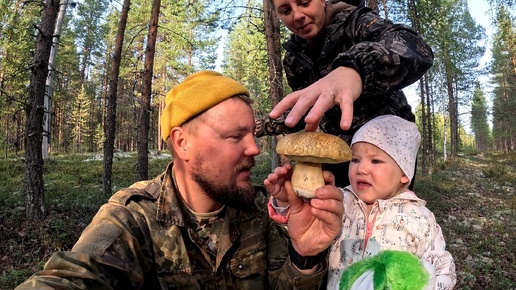 ДЕВЧОНКИ ПИЩАЛИ ОТ РАДОСТИ В ЛЕСУ. СЕМЕЙНЫЙ СБОР БЕЛЫХ ГРИБОВ. НАБРАЛИ БОРОВИКОВ. ГРИБАЛКА ЧТО НАДО.