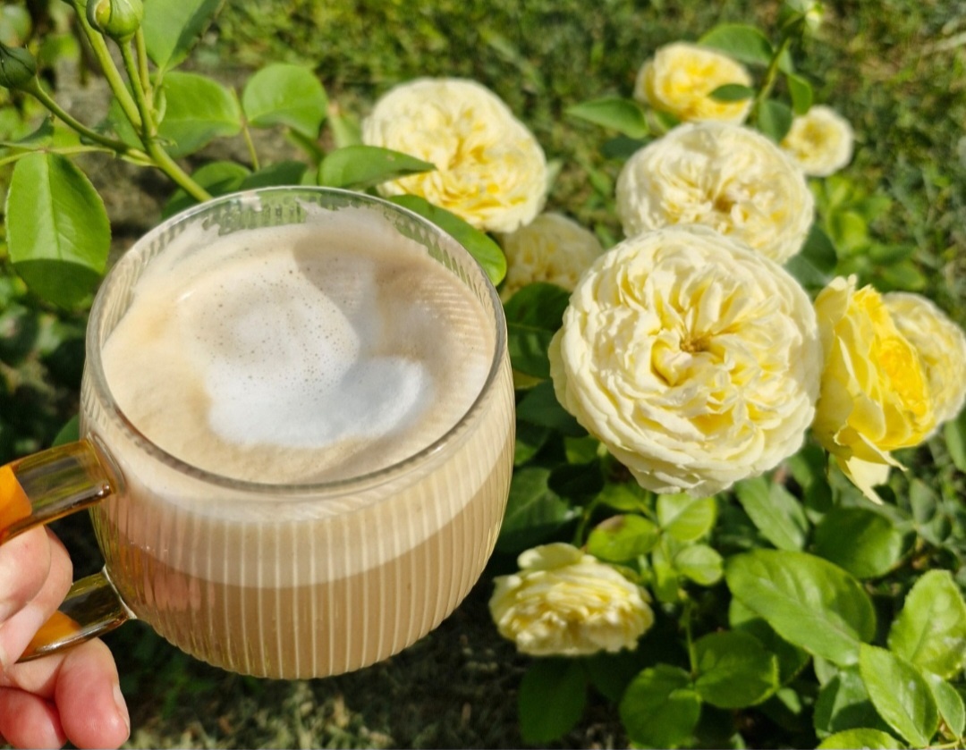 Каталина и капучино