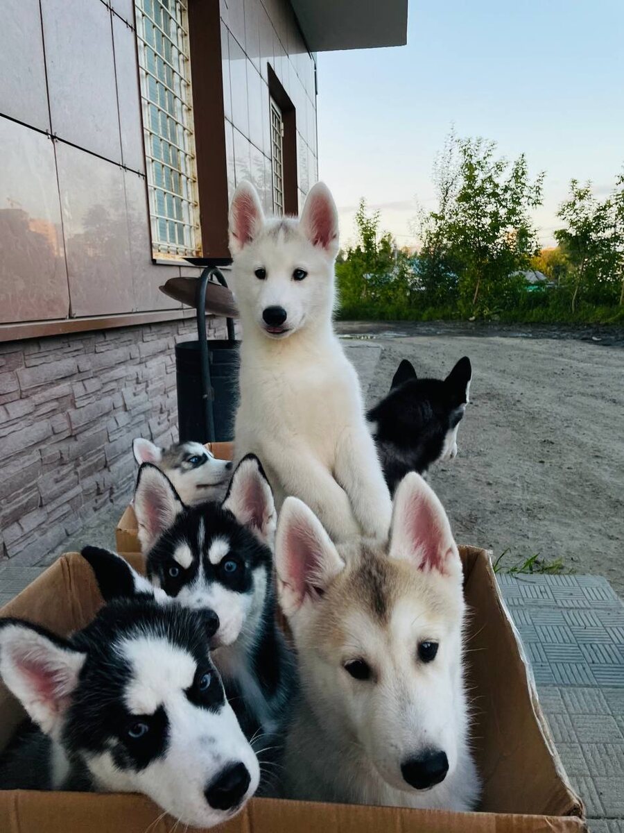 Мы это сделали! Первая вакцина done  ✅ Листай карусель.