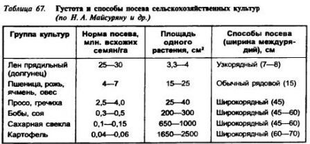 Густота и способы посева