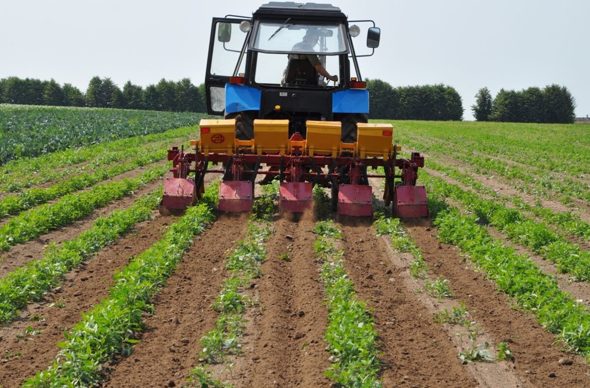 Послепосевная обработка почвы