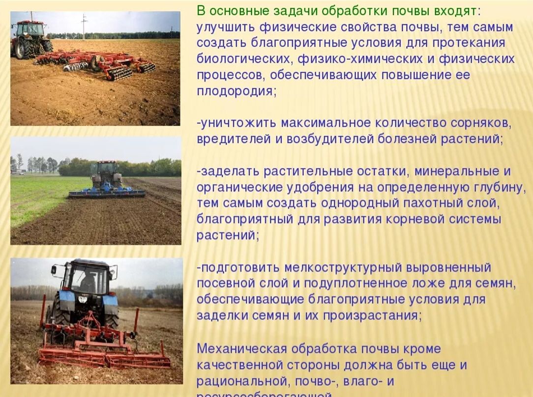 В основные задачи обработки почвы входят