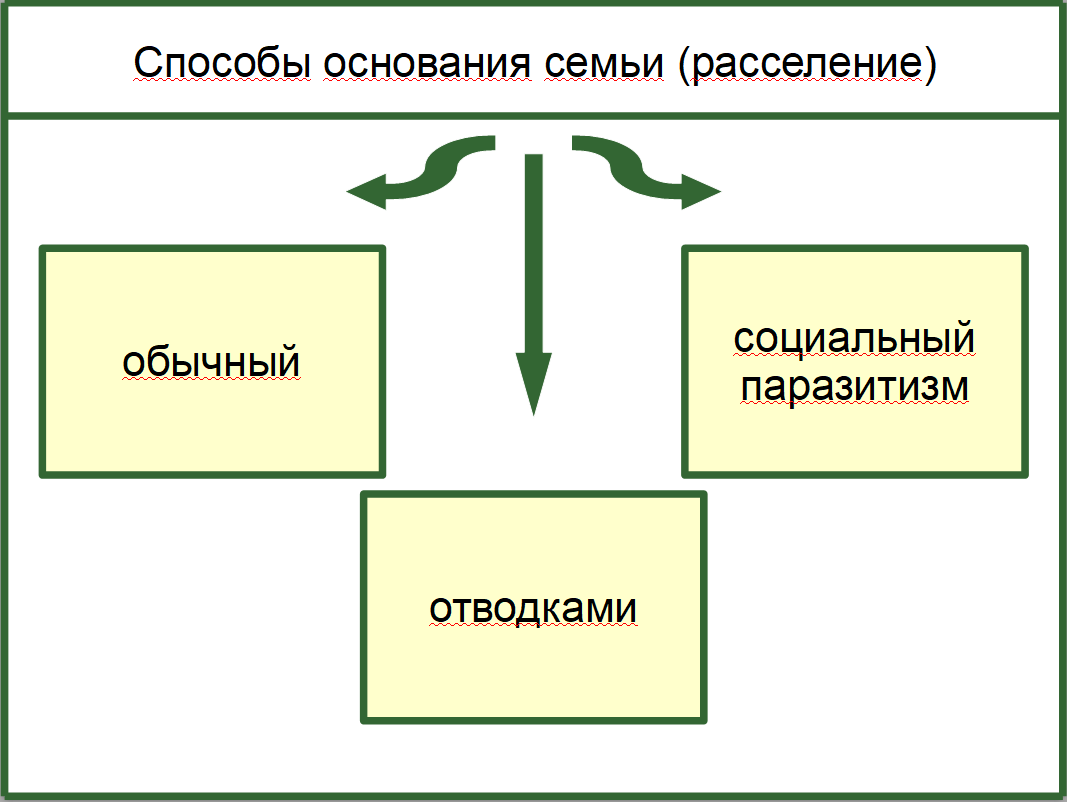 Эта статья про последний тип расселения
