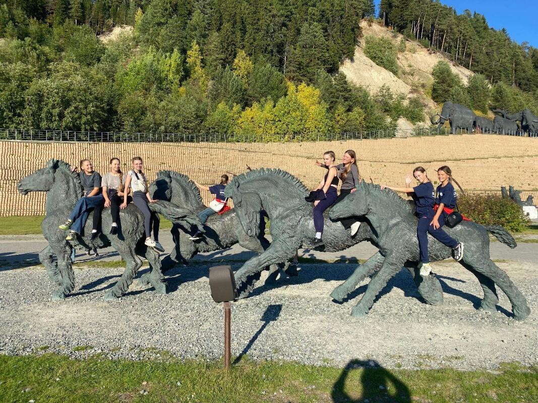    Конники Донбасса прибыли в «Мустанг»