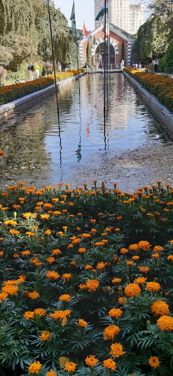 Спешу на взвешивание!