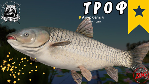 АМУР БЕЛЫЙ ТРОФЕЙНЫЙ ⭐ РУССКАЯ РЫБАЛКА 4 | RUSSIAN FISHING 4🐟 @Z-B-G